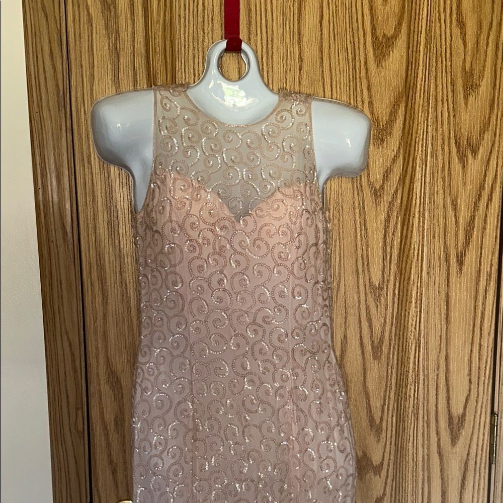 Sean Collection Blush Swirl Embellished Gown size 2